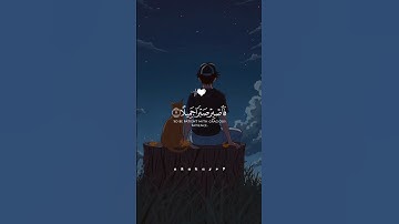 فاصبر صبرا جميلاً ❤️🎧#حمزة_بوديب #قران_كريم #راحة_نفسية #صوت_جميل #تلاوة_خاشعة #القران_الكريم