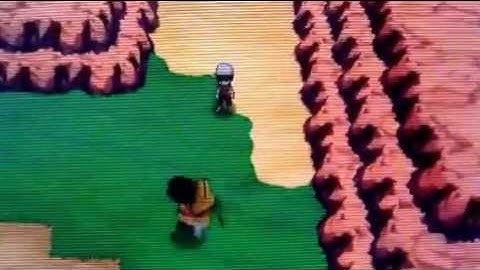 Where to catch gible in Pokemon Oras