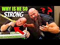 TODD HUTCHINGS IDENTIFIES MY ARMWRESTLING WEAKPOINTS! | Max Effort Training