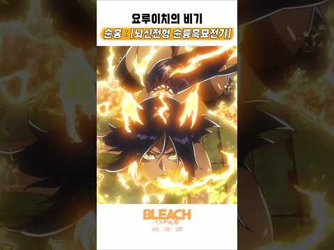 🔥 요루이치의 <strong>비기</strong> 🔥 블리치 천년혈전 : 화진담