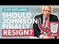 Should Johnson Finally Resign as PM? Downing Street Party Scandal Explained - TLDR News