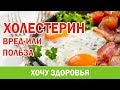 #30. Холестерин, часть 1. Вред или польза? Анна Котельникова.