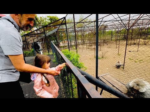 Видео: Мы пришли с Ангелиной к люськинрй матери и увидели что ее малыш один ГУЛЯЕТ БЕЗ ПРИСМОТРА!