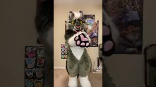 Furry tik tok videos compilation