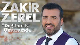 Zakir Zerel - İllede Sen Resimi