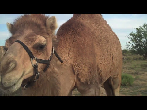 Happy Hump Day 