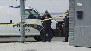 Female hospitalized after being shot in central Toledo; suspect in custody