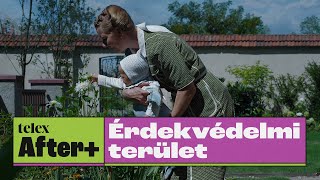 Két film egyben az Érdekvédelmi terület, az egyik a szemnek, a másik a fülnek szól