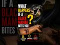 What Happens If A Black Mamba Bites You?
