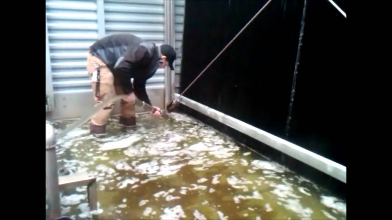 Cleaning Tower Basins YouTube