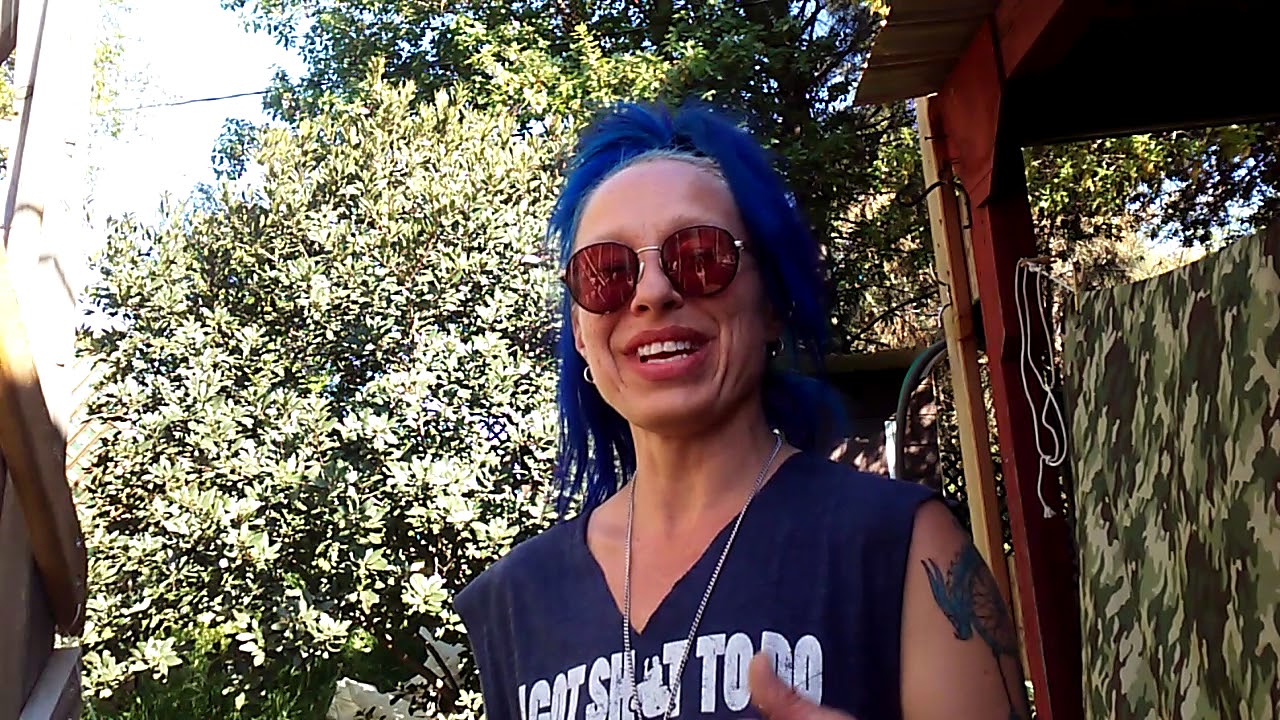 White Widow seeds sprouted in 4 days!