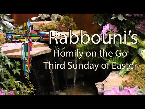 Third Sunday of Easter 2023
