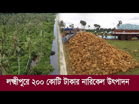 Bir erkak va ikki qizning porno surati