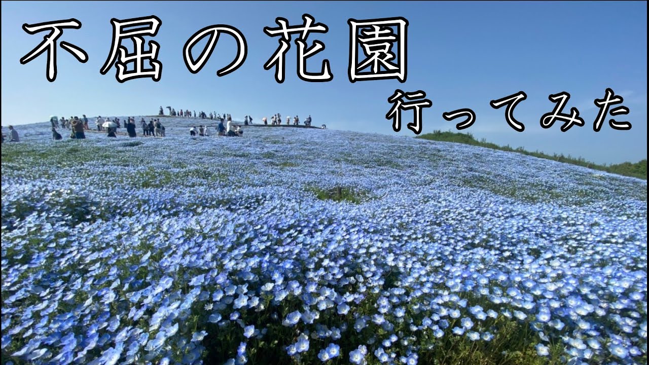 大分県にある深界四層「不屈の花園」へ行ってきました | 海外・国内