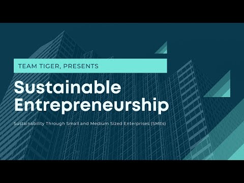 Sustainable Entrepreneurship: Sustainability