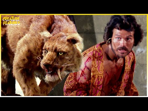 Sinbad Fights Zenobia | Sinbad and the Eye of the Tiger | Creature Features