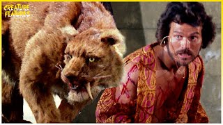 Sinbad Fights Zenobia | Sinbad and the Eye of the Tiger | Creature Features