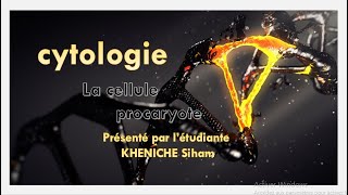 Cytologie Chapitre 1 La Cellule Procaryote Partie 1