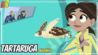 Aventura com os kratts - tartaruga incrementada - episódio completo em português - kratts series