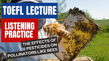 TOEFL LECTURE LISTENING PRACTICE Pesticides and Bees