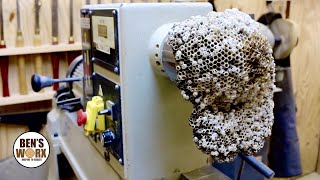 Turning a Wasp Nest into a Lamp