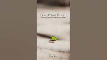 سورة هود #القرآن_الكريم #المصحف #سورة_هود #الرزق