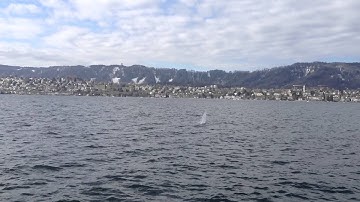 Aeolus - Autonomous Heading Tracking