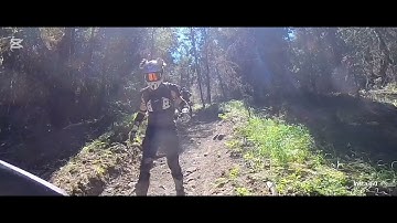 Forest Trail Flow | Calm Dirtbike POV Ride | Hypnotic Synth & Ambient Engines