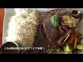 ヴィクトリア湖でナイルパーチ釣り