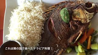 ヴィクトリア湖でナイルパーチ釣り