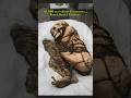 Over 1,000 years ago. he was buried#PreIncaMummy #AncientHuman#MummyTransformation #AIReconstruction