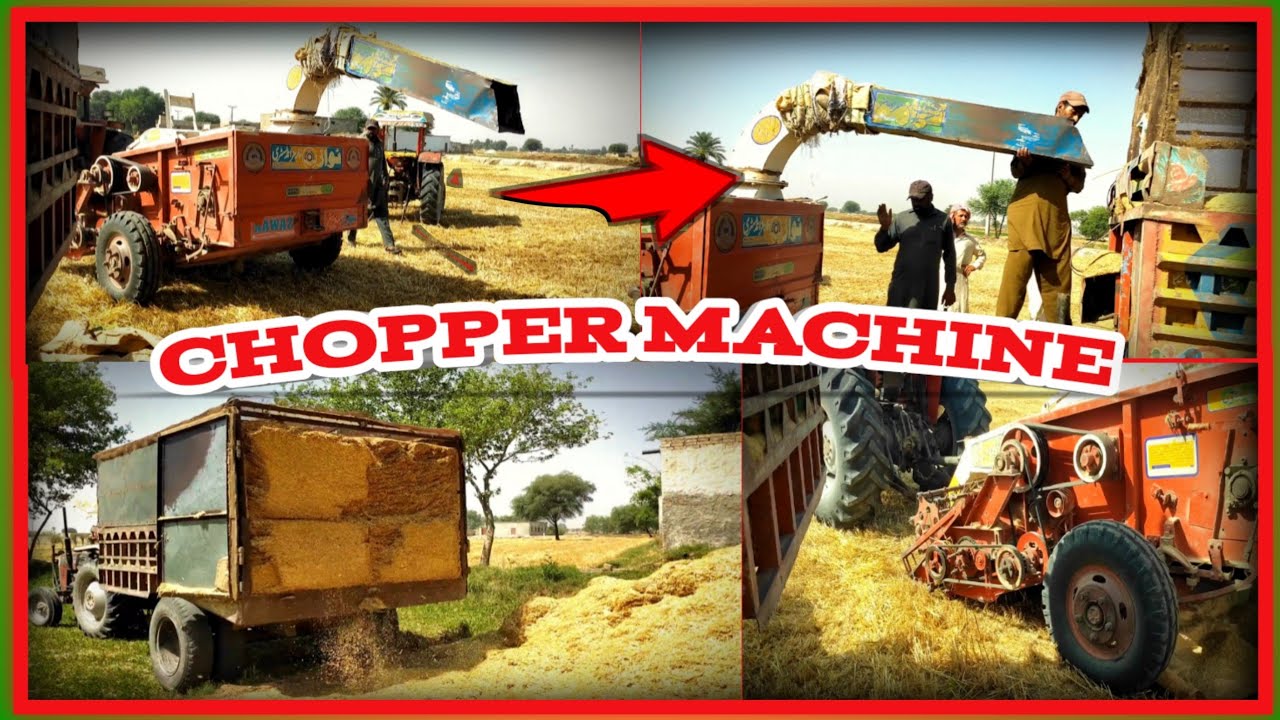 wheat bhusa cattle feed | Wheat Harvesting Season 2023 | Kashif2.0