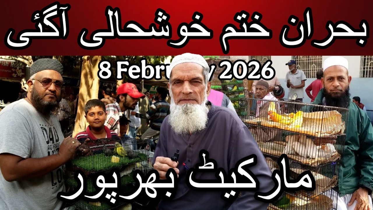 Lalukhet birds market part 1 8 February 2026 | Cheapest price birds market in Karachi Pakistan