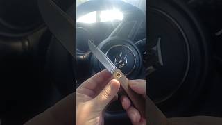 New Rough Ryder knife!
