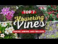 Top 7 Flowering Vines for Fences, Arbors, and Trellises 🍃🌸 Enchanting Climbers 🌼