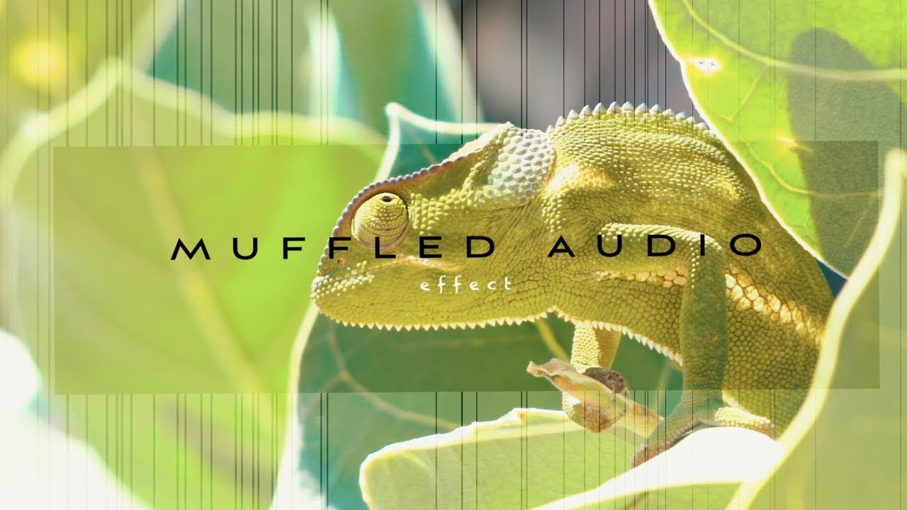 Muffled Audio Effect FCPX YouTube