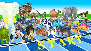 Ultimate Race 41 Wild Animals Speed Challenge Who is the Fastest Animal Revolt Battle Simulator