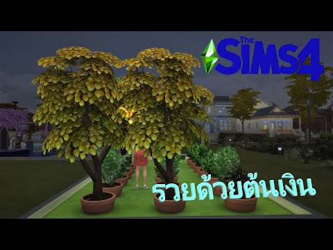 Trick: The Sims 4 : รวยด้วยต้นเงิน