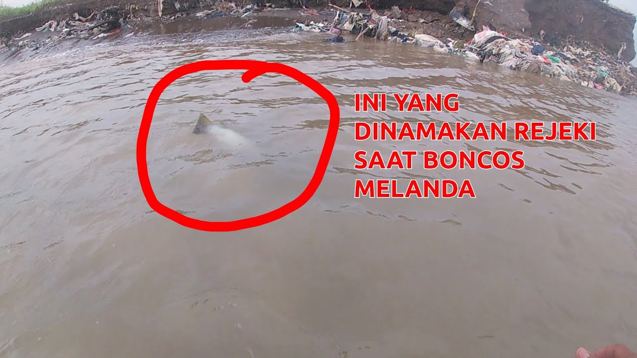 HARUS PAKE CARA LAMA KALO LIHAT IKAN INI !! //SPOT PANTAI BARUNA
