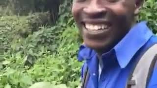 Hi Okay Vine 10 Hours