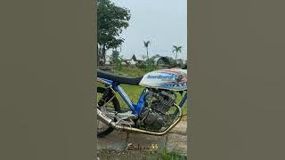 Story wa herex, GL Barbara stay halal dulu😎 #shorts#herex#storywa