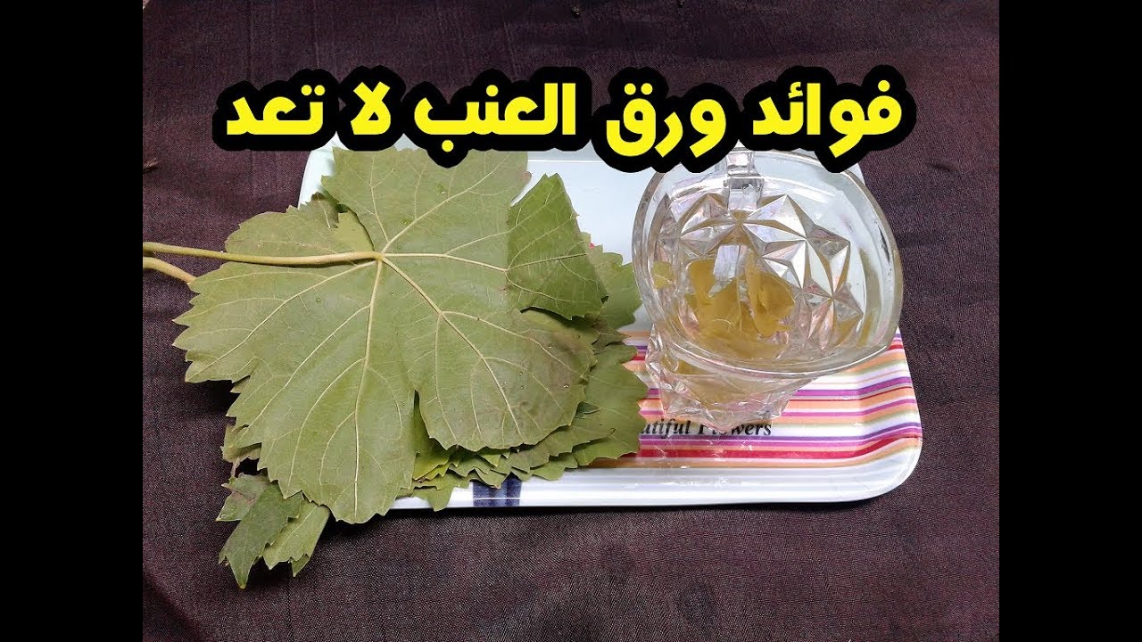 هل تعلم ماهى فوائد اوراق العنب والامراض التى يعالجها ورق العنب لن تصدق Youtube