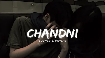 CHANDNI slowed+reverb song Sachet Tandon ,/ Parampara Tandon /B  Praak, Jaani /Adil Shaikh/Bhushan K