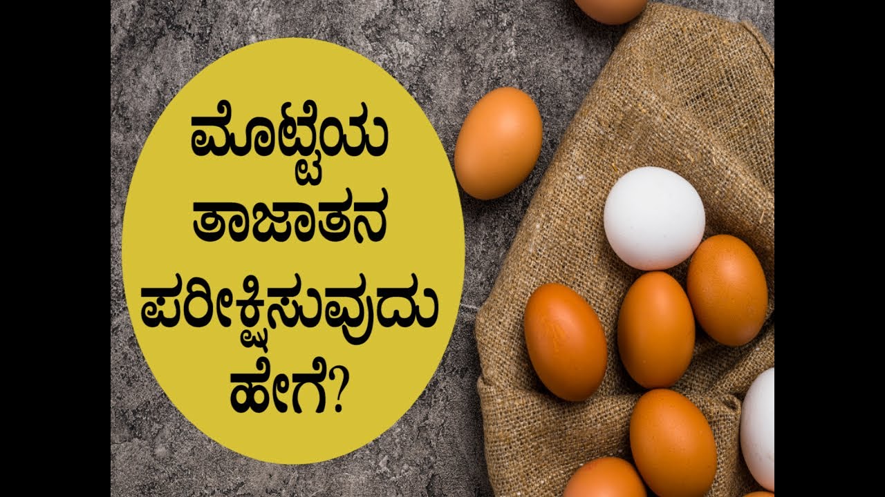 How To Check The Freshness Of An Egg Boldsky Kannada YouTube