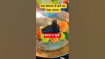 11 दिसंबर का विशेष उपाय। #upay#shorts#ytshorts#panditprdeepmishra#viralvideo#ytviral#trending