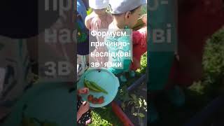 Садили город -збираємо урожай. Таким чином у дітей формуються причинно-наслідкові зв&#39;язки #городдіти