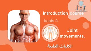 كورس التأهيل للكليات الطبية (حلقة  4 ) |  Introduction course - Anatomy Basis (4)