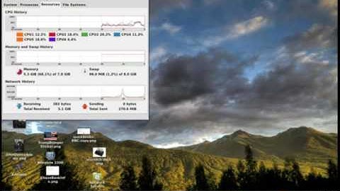 LInux Mint Compiz Desktop example