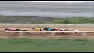 Northam-10082015-Race-4