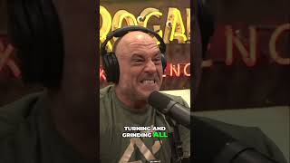 The Truth About Post-Adderall and Vyvanse Crashes | Joe Rogan